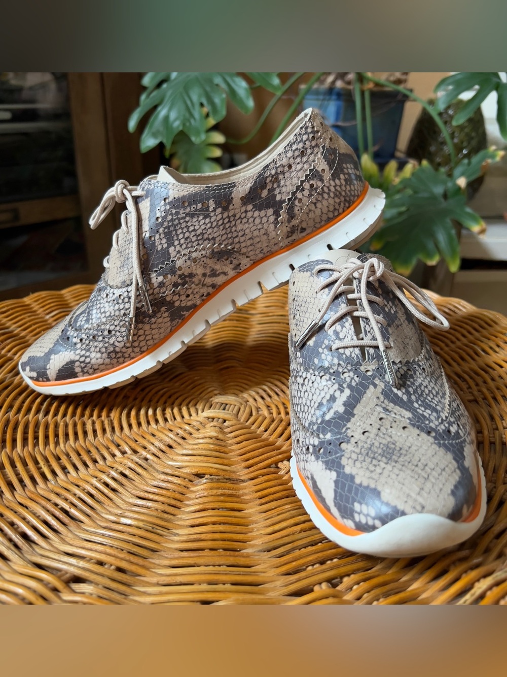 Cole Haan Grand OS Leather Snake-Print Wingtip Lace-Up Shoes